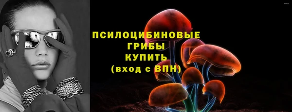 spice Рославль